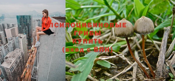 mix Алексеевка