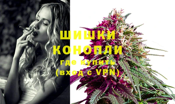 винт Нея